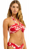 Cosmo Red